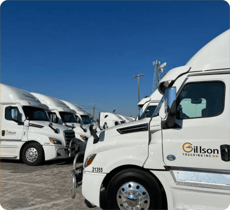 Gillson Trucking white trucks lined up under a clear sky